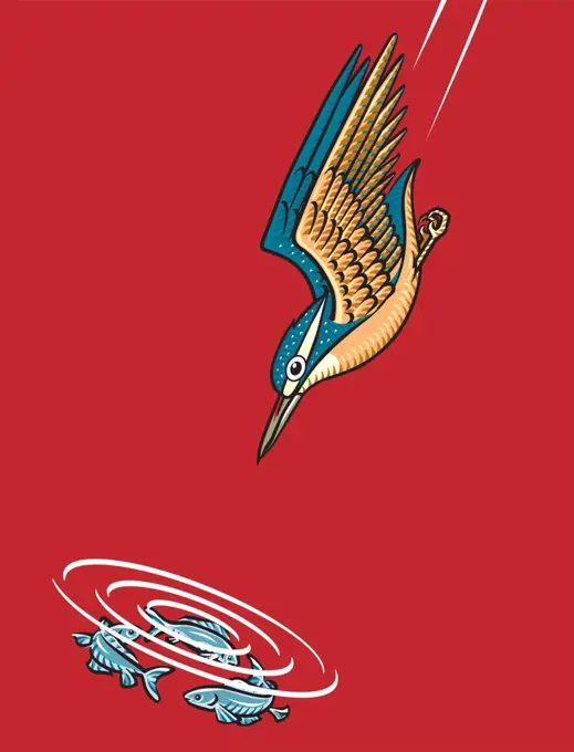 Hummingbird and fish, red background