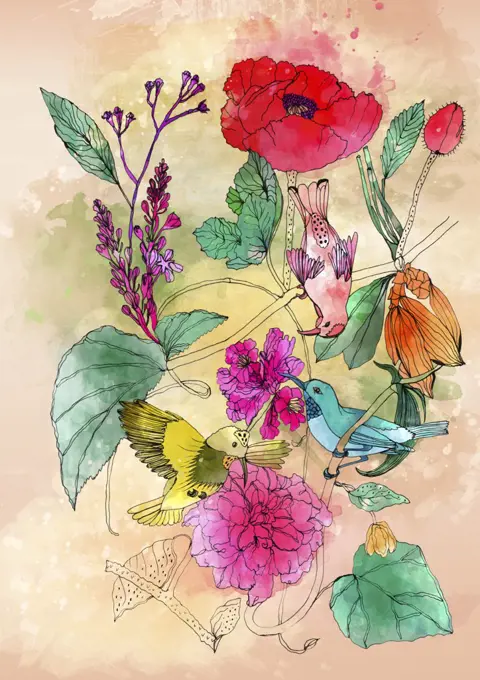 Variation of birds and flowers