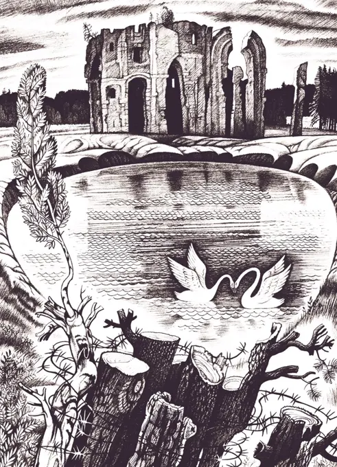 Pond with swans before old ruin