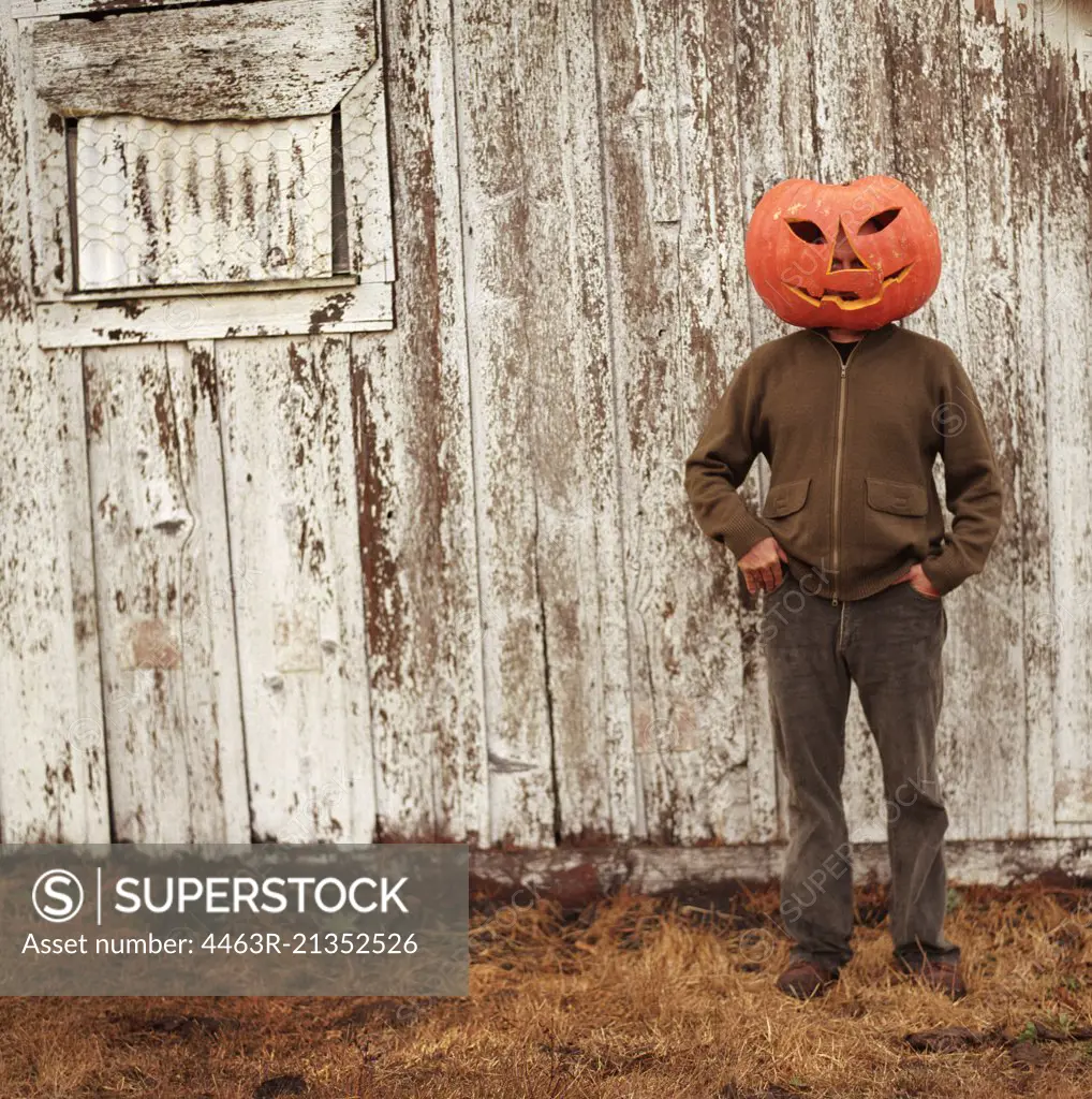 portrait of a pumpkin man