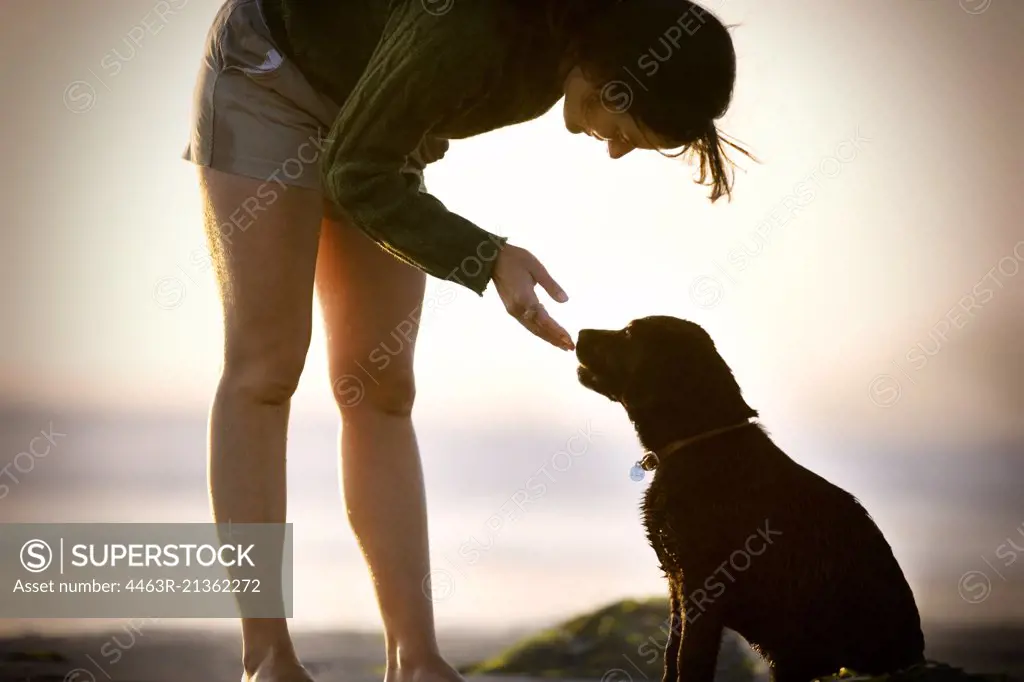 Young woman bending down to let her dog lick her hand. SuperStock