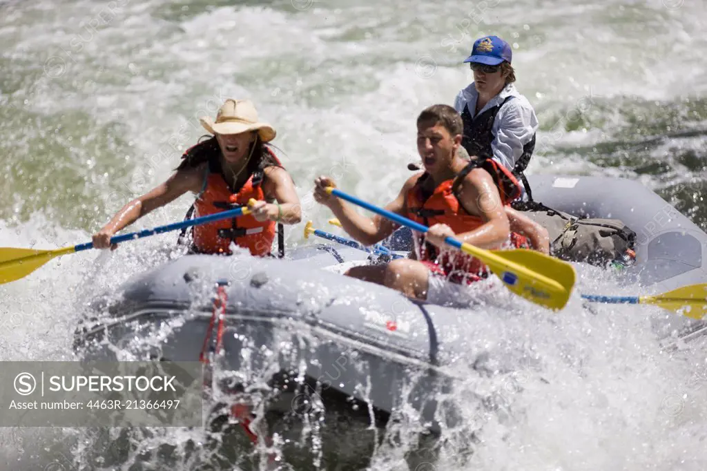 Group of people white water rafting in a river.