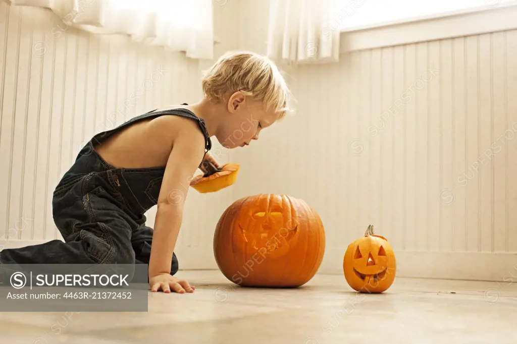 Little boy looking inside Halloween pumpkin