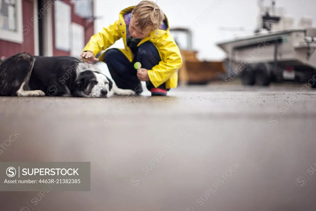 Boy crouching down to pet a dog