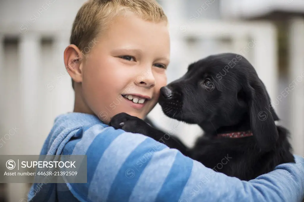 Curious labrador puppy affectionately sniffing his new owner.