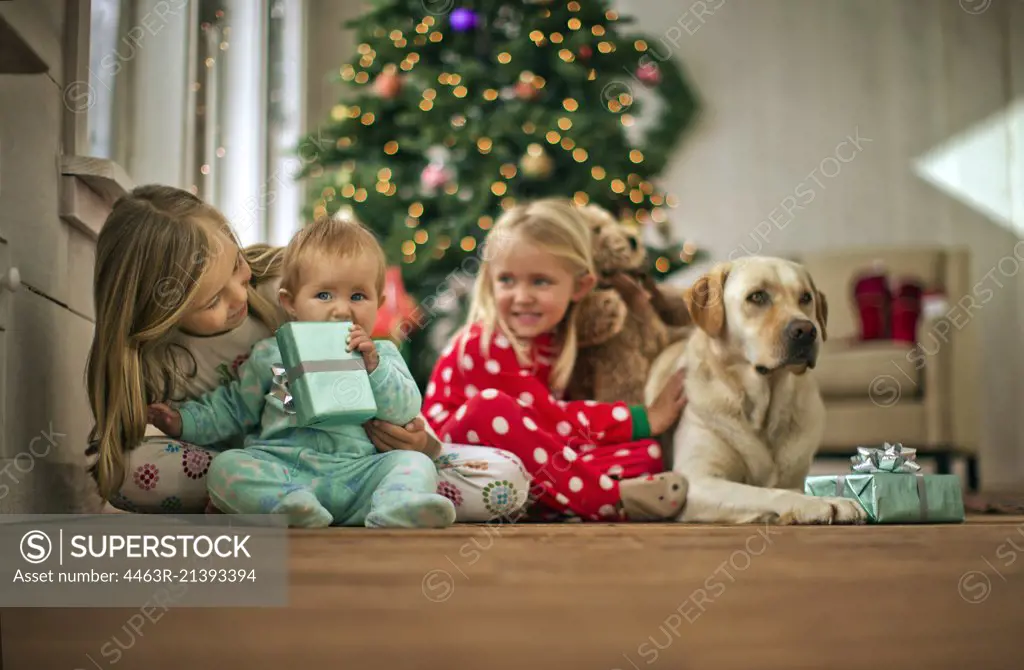 Two young girls with their baby sister and dog on Christmas day.