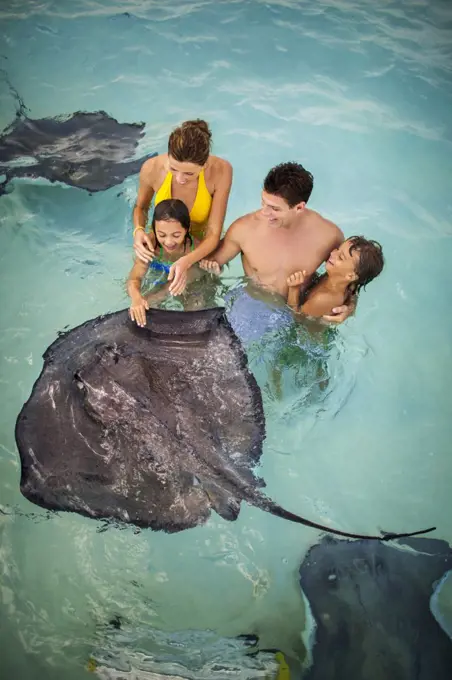 Smiling family having fun together as they swim with stingrays.