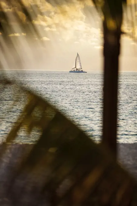 Sailboat drifts gently on a calm tropical ocean at sunset.