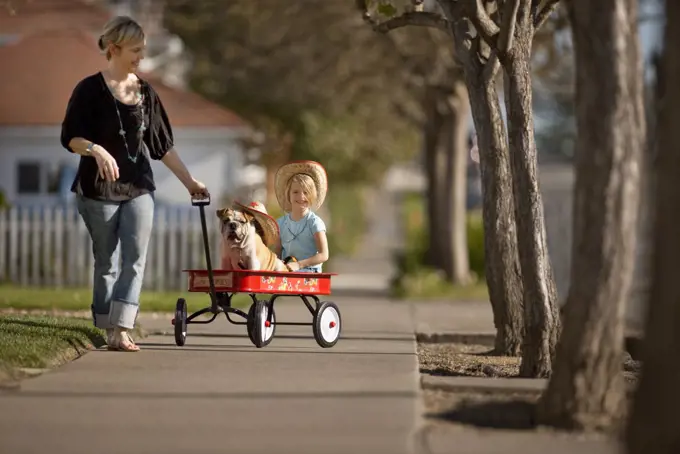 Woman pulling her daughter and a bulldog in a red wagon.