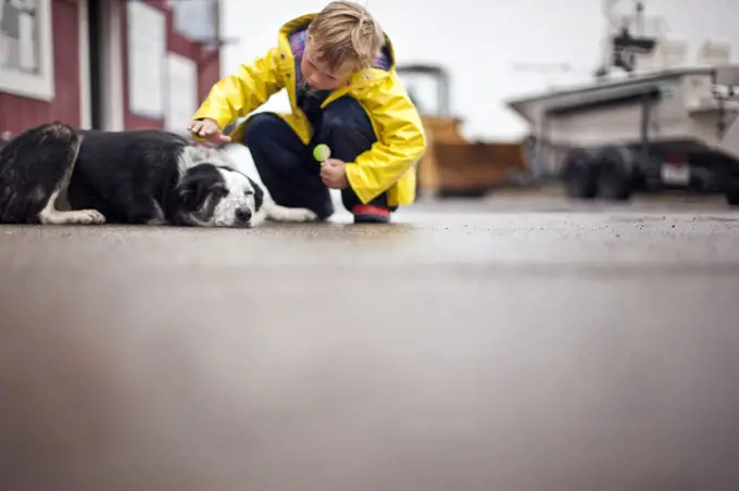 Boy crouching down to pet a dog