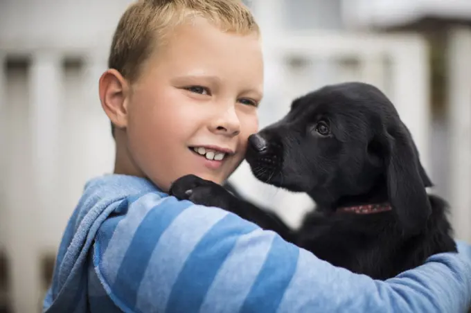 Curious labrador puppy affectionately sniffing his new owner.