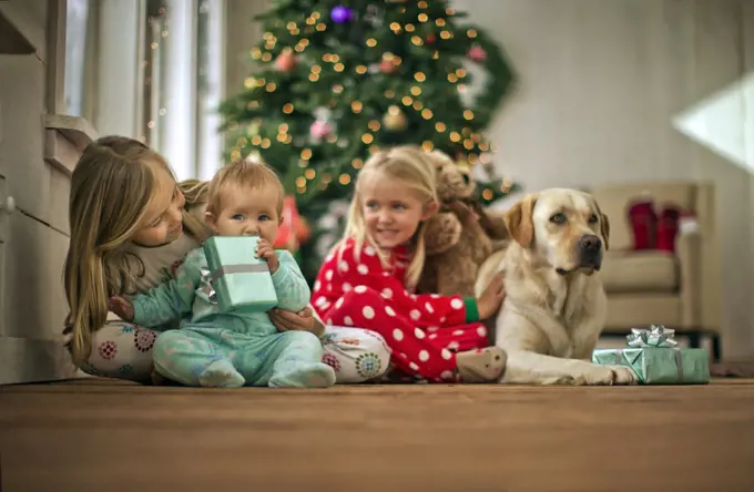 Two young girls with their baby sister and dog on Christmas day.