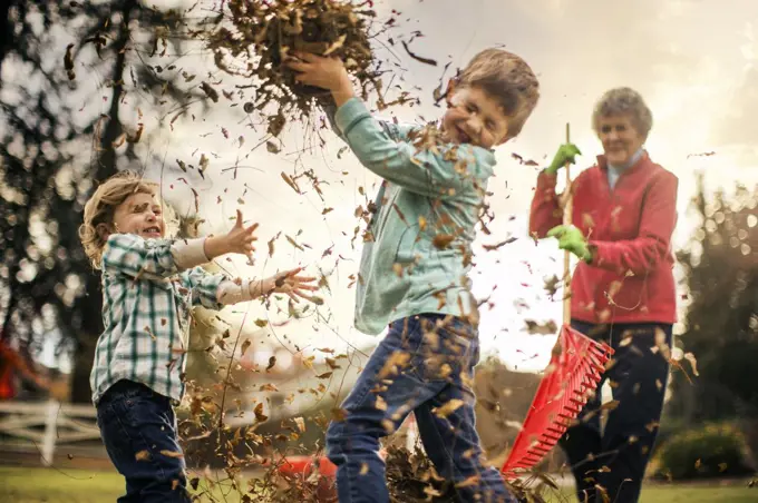 Two young boys playing in leaves.