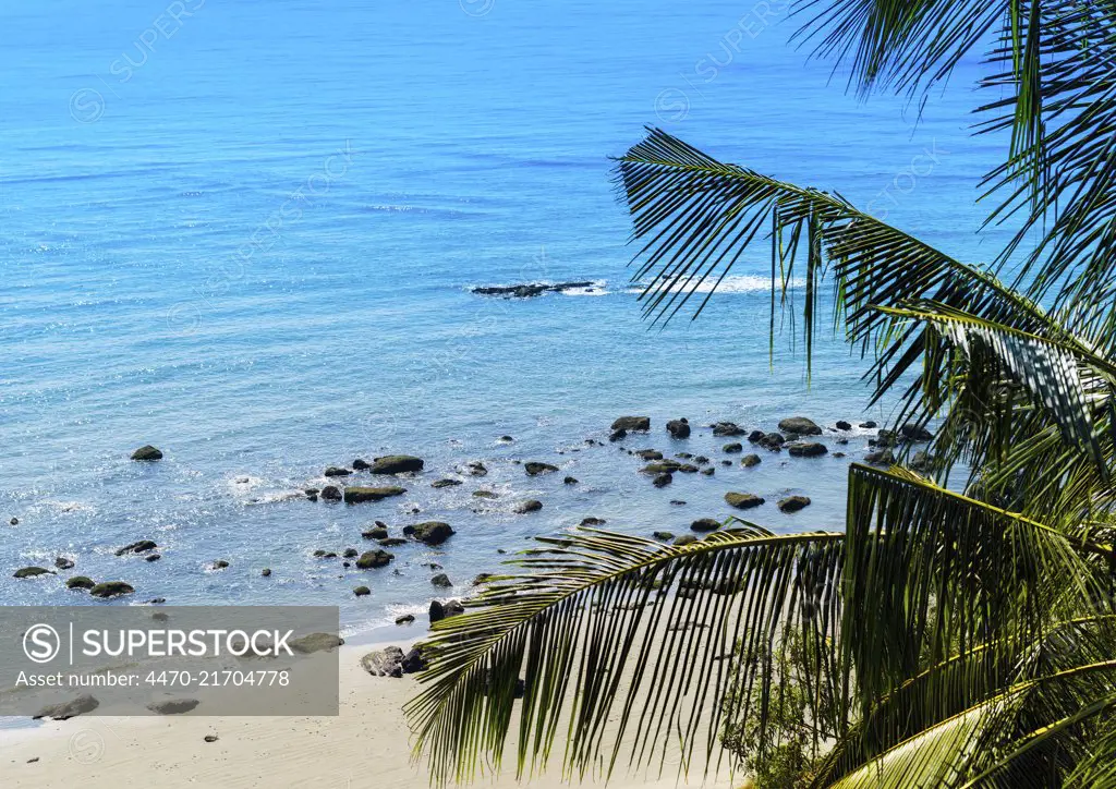 Horizontal vivid sand rock beach ocean palm composition background backdrop