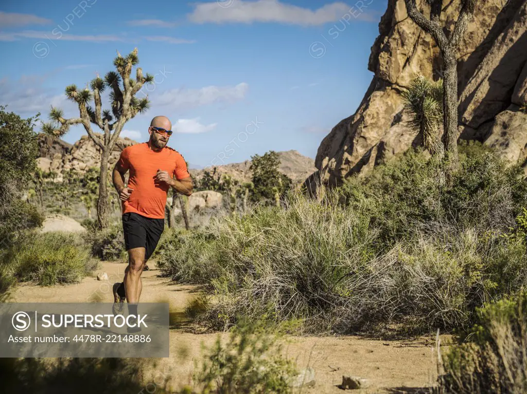 Man Running In Joshua Tree National Park