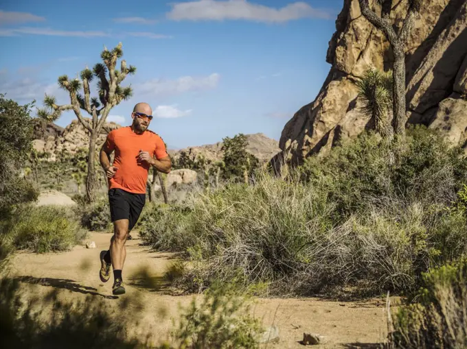 Man Running In Joshua Tree National Park