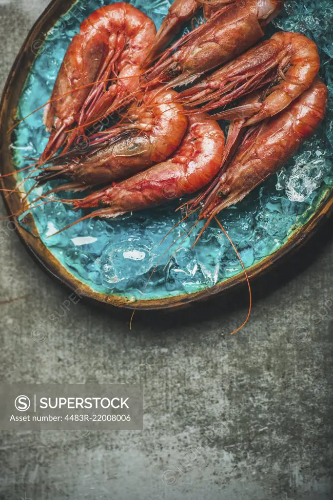 Raw uncooked red shrimps on chipped ice in turquoise blue ceramic tray over grey concrete background, top view, copy space, vertical composition. Fresh seafood concept