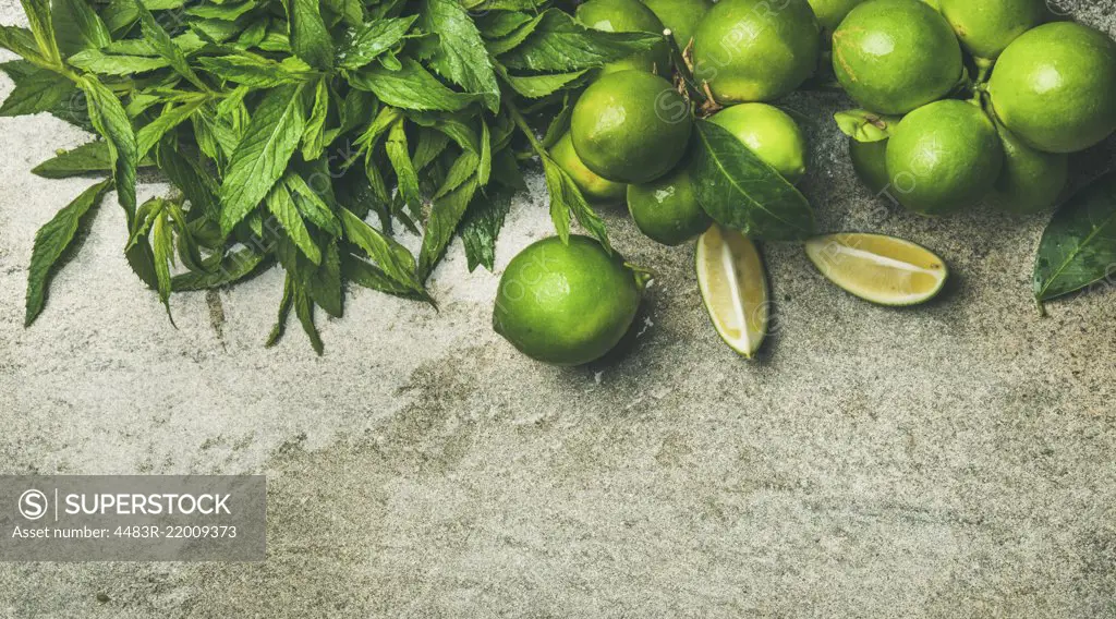 Flatlay of freshly picked organic limes and mint for making cocktail or lemonade over grey concrete stone background, top view, copy space, horizontal composition