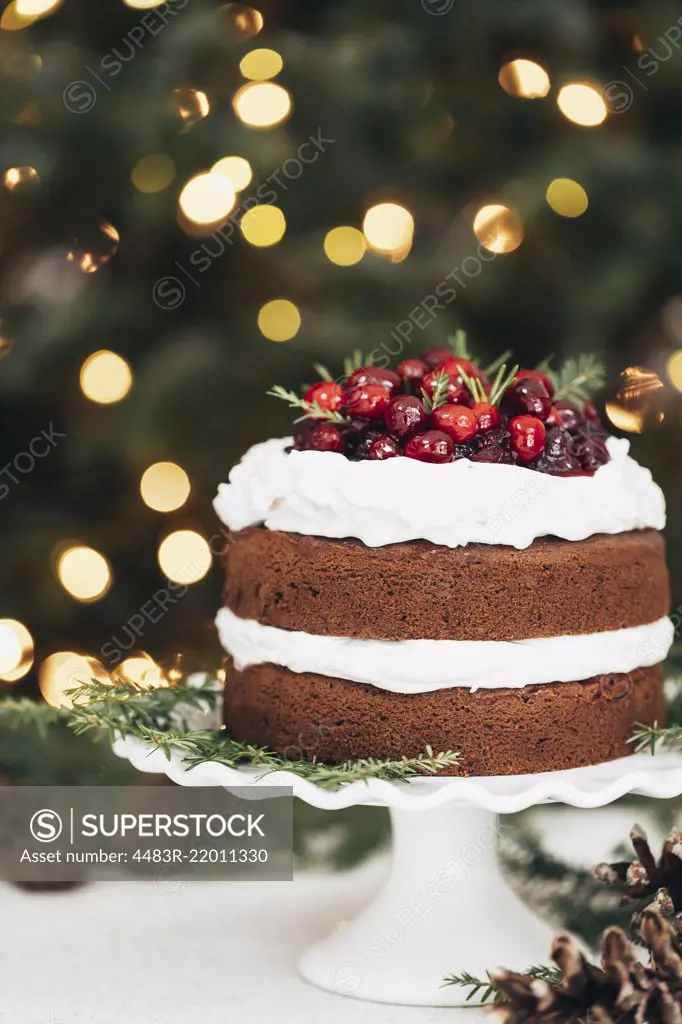 Gingerbread cake with cranberries and frosted icing