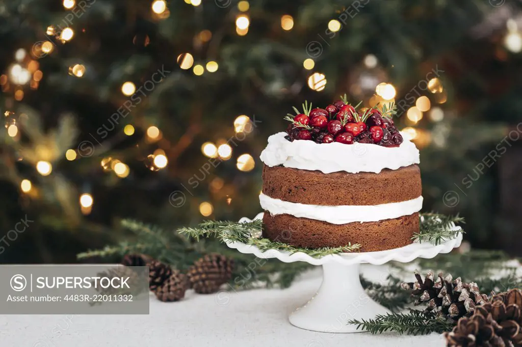 Gingerbread cake with cranberries and frosted icing