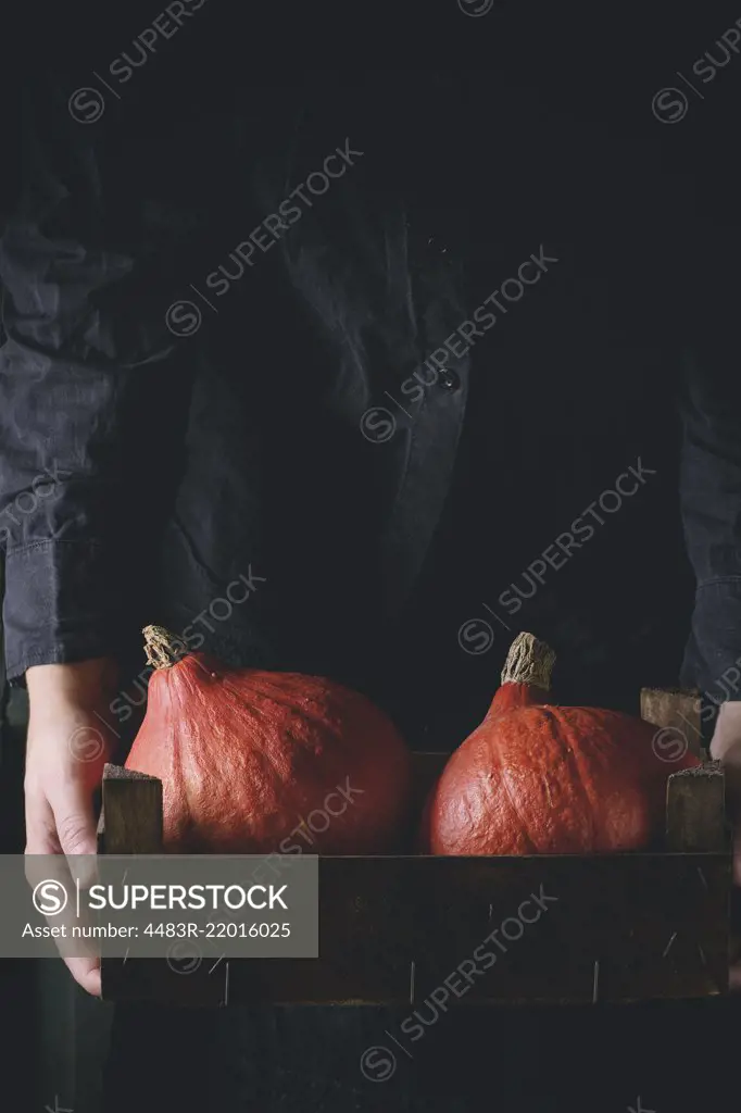 Woman's hand from black hold wooden box with Hokkaido pumpkins over black bakground. Dark rustic style