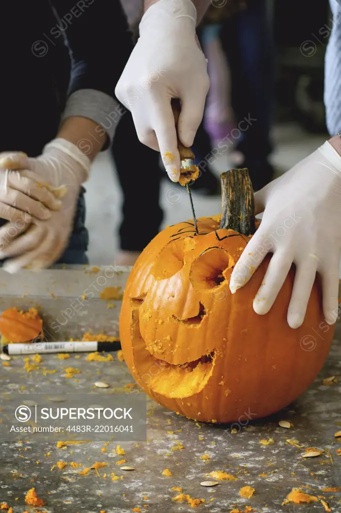 Process of Making Halloween pumpkins. Hands in rubber gloves sliced the pumpkin by small hacksaw.