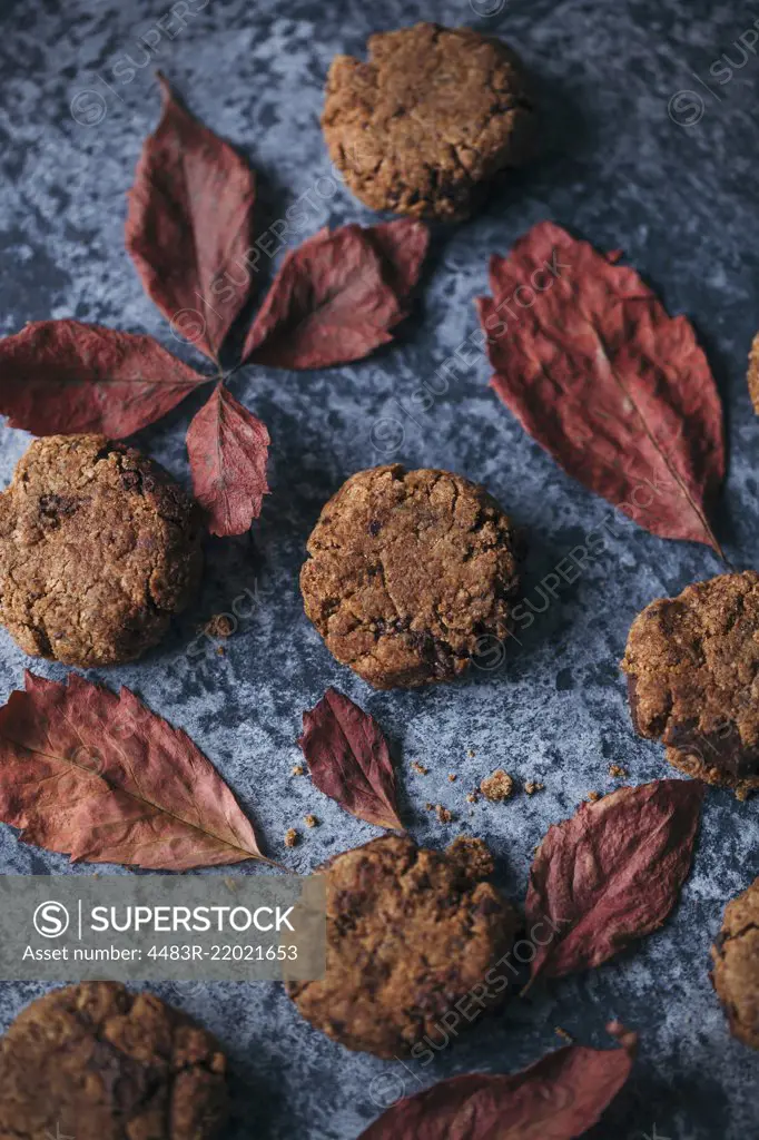 Almond butter and chocolate cookies