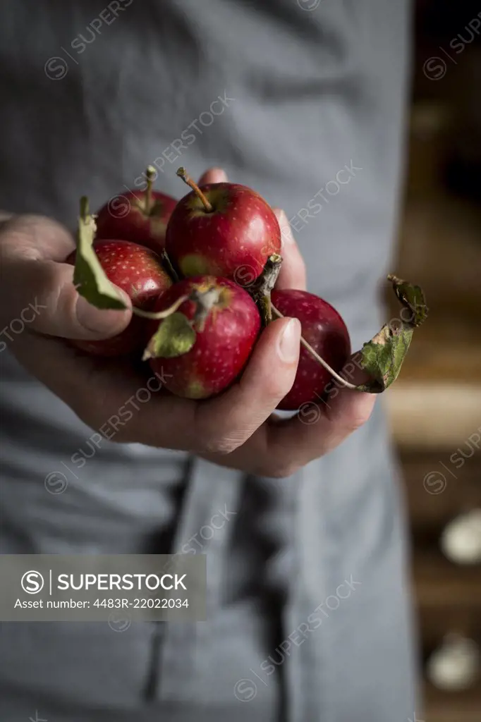 Close-up of man's hand holding apples