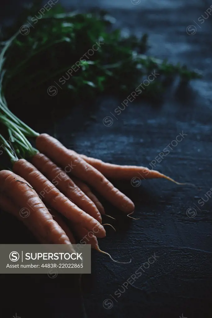 A carrot with stalk on a black background