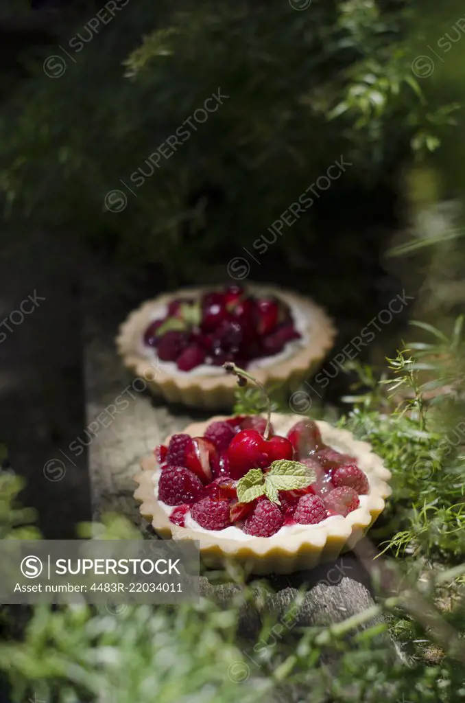 Cherry and raspberry tarts on a wooden rustic table