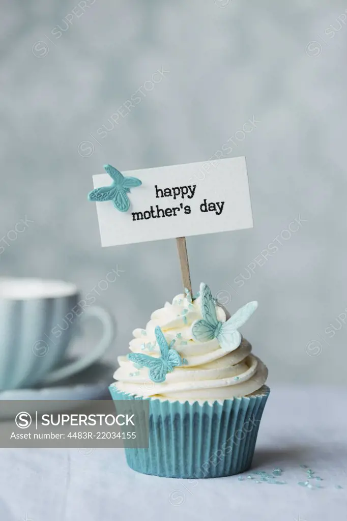 Mother's day cupcake with butterflies