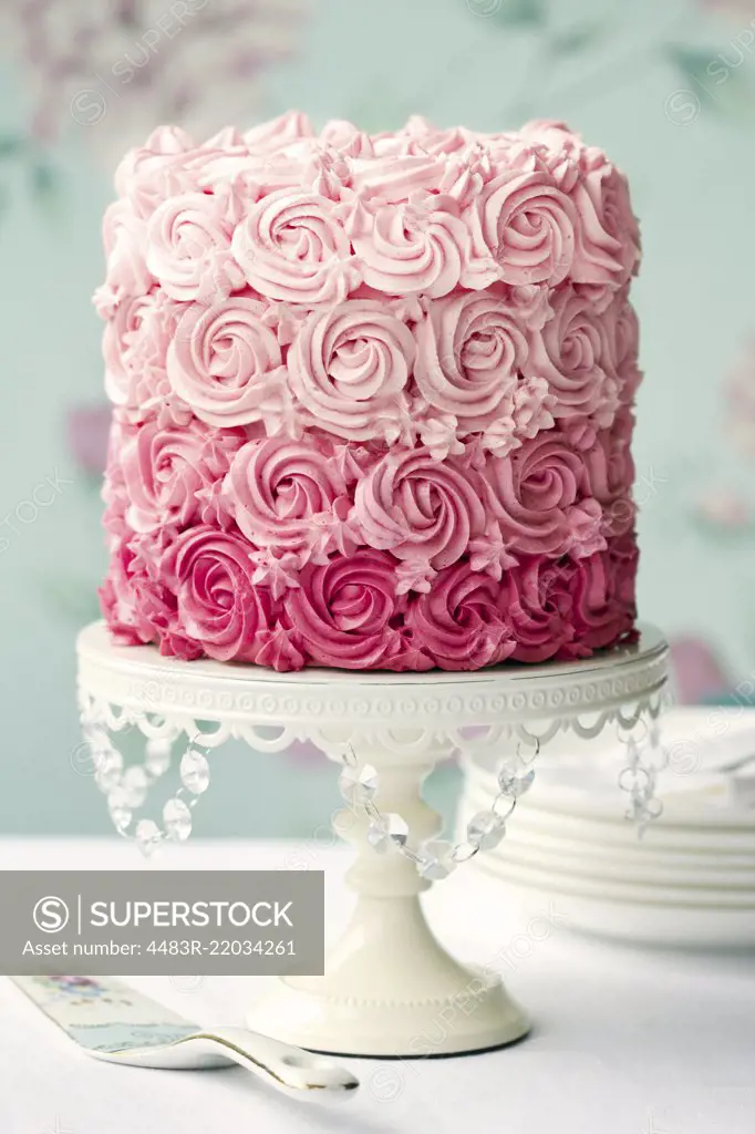 Ombre cake in shades of pink by Ruth Black at The Picture Pantry