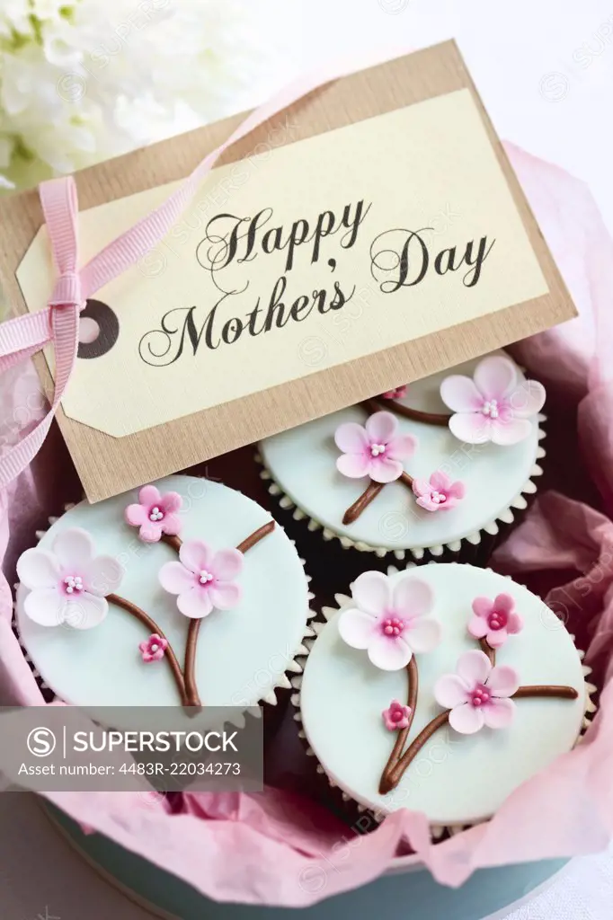 Gift box of Mother's day cupcakes