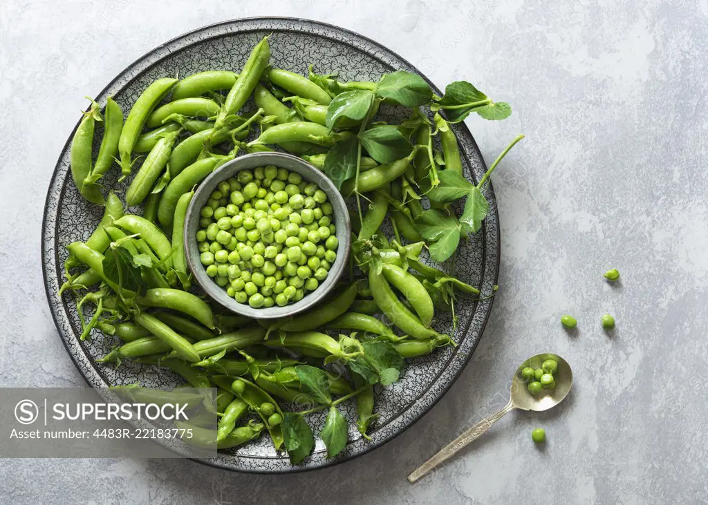 Green peas on a plate with a bowl of shelled peas.