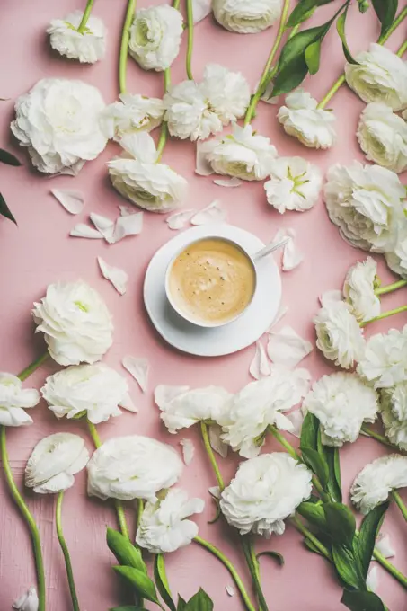 Spring morning concept. Flat-lay of cup of coffee surrounded with white ranunculus flowers over light pink background, top view