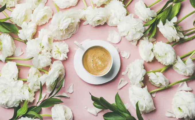 Spring morning concept. Flat-lay of cup of coffee surrounded with white ranunculus flowers over light pink pastel background, top view