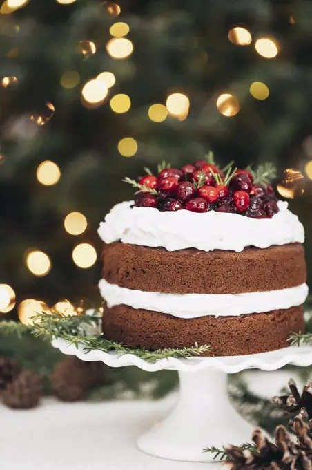 Gingerbread cake with cranberries and frosted icing