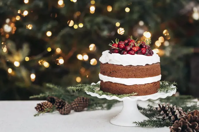 Gingerbread cake with cranberries and frosted icing