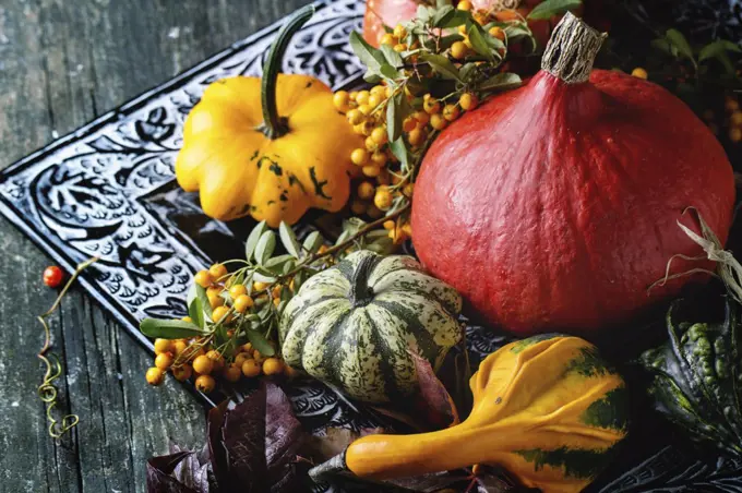 Assortment of different edible and decorative pumpkins and autumn berries in black decorative tray over wooden surface.