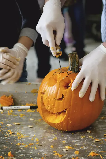 Process of Making Halloween pumpkins. Hands in rubber gloves sliced the pumpkin by small hacksaw.