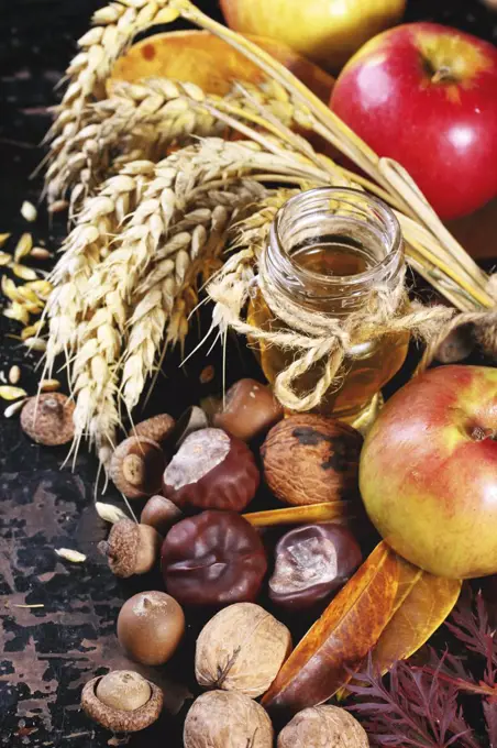 Glass jar of honey with apples, ears of wheat, chestnuts and walnuts over black wooden table