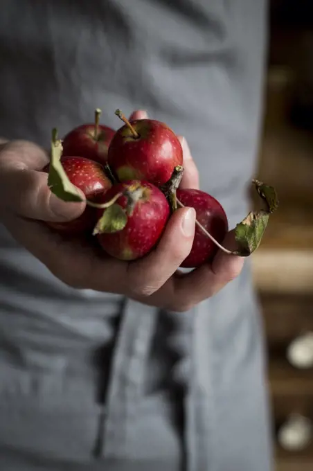 Close-up of man's hand holding apples