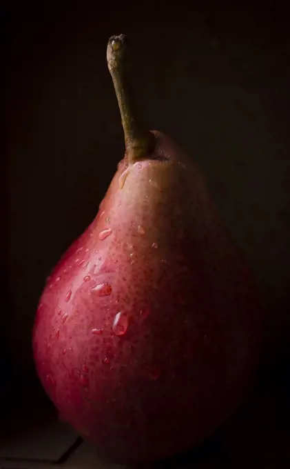 Red Pears dark and moody