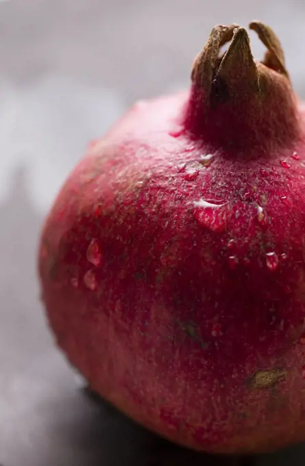 Pomegranate macro shot