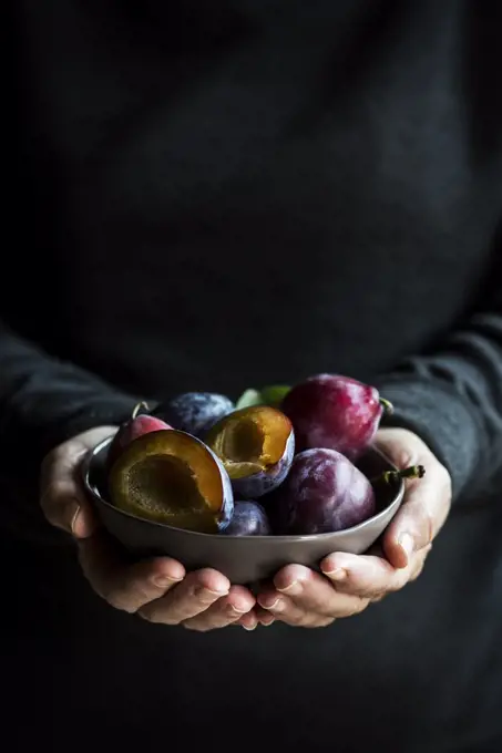 Hands holding a bowl of fresh plums