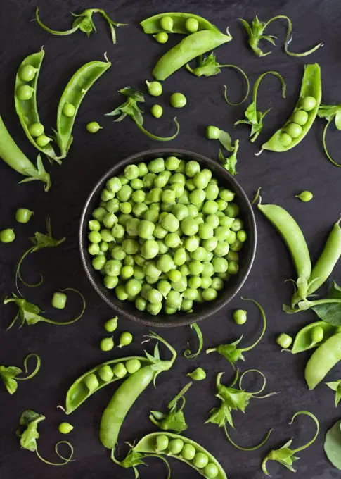 Shelled green peas and pea pods on a black background.