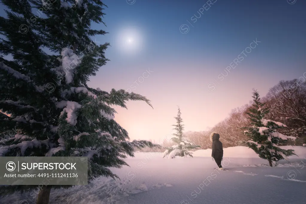 Back view of female silhouette going on snow terrain around green firs under picturesque sky