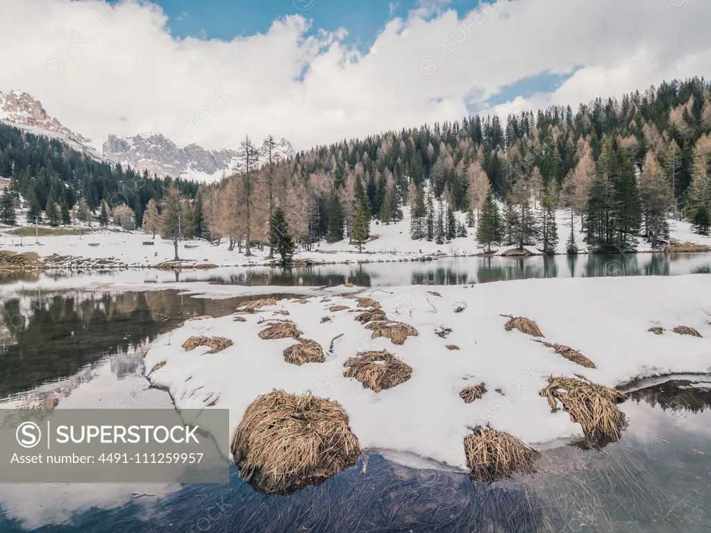 Beautiful landscape of snowy shore water and dry green forest