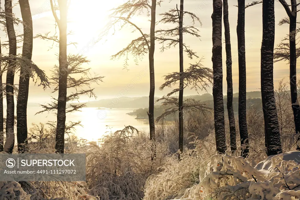 Dark tall trees and bushes covered with crystal clear snow beside lake around hills on sunny winter day