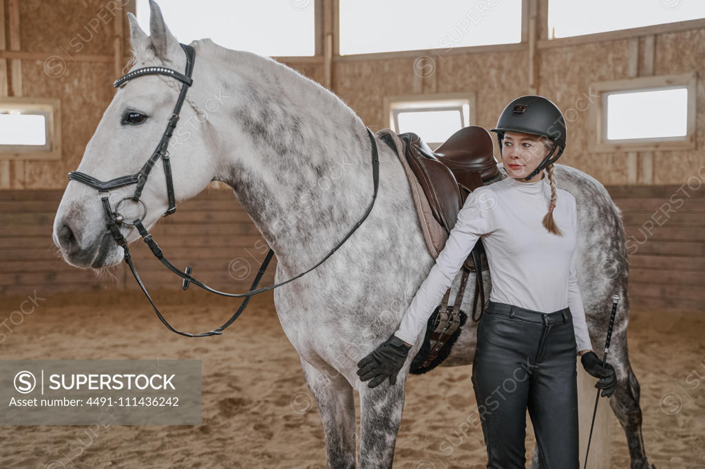 Rider riding dapple gray horse in round arena stock photo